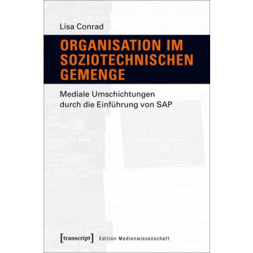 Organisation im soziotechnischen Gemenge