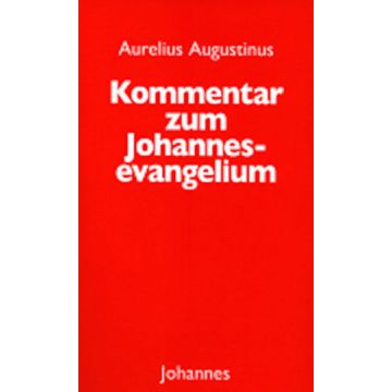 Kommentar zum Johannesevangelium