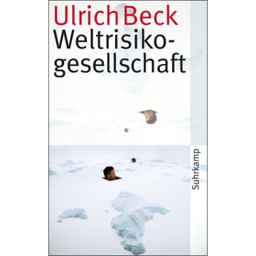 Weltrisikogesellschaft