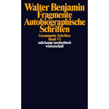 Gesammelte Schriften Bd. VI