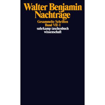 Gesammelte Schriften Bd. VII