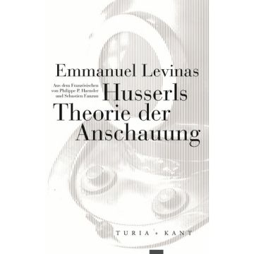 Husserls Theorie der Anschauung