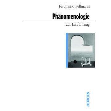 Phänomenologie zur Einführung