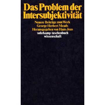 Das Problem der Intersubjektivität