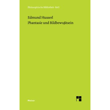 Phantasie und Bildbewusstsein