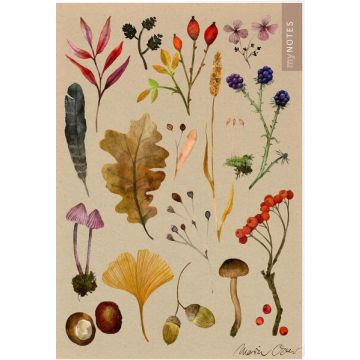 myNOTES Papeterie: Notizheft Naturschätze