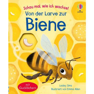 Schau mal, wie ich wachse! Von der Larve zur Biene