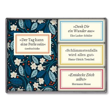 Insel-Bücherei Magnetset