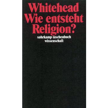 Wie entsteht Religion?