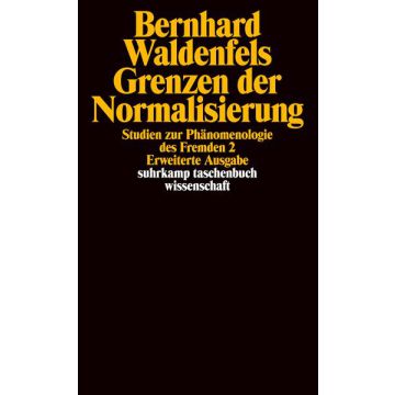 Grenzen der Normalisierung