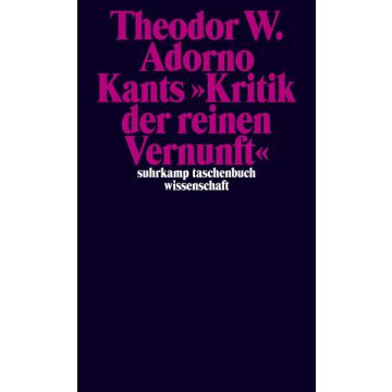 Kants Kritik der reinen Vernunft