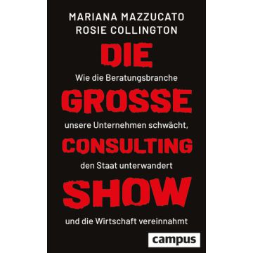 Die große Consulting-Show