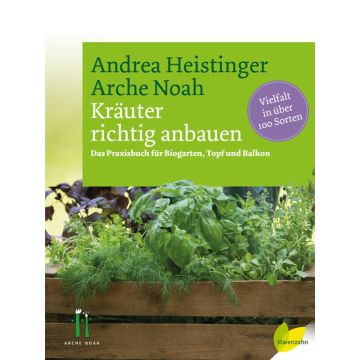 Kräuter richtig anbauen