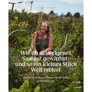 Wie du dein eigenes Saatgut gewinnst – und so ein kleines Stück Welt rettest