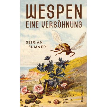 Wespen – Eine Versöhnung