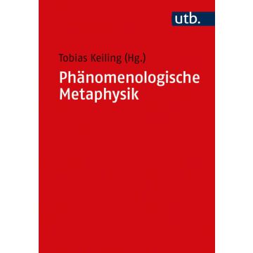 Phänomenologische Metaphysik