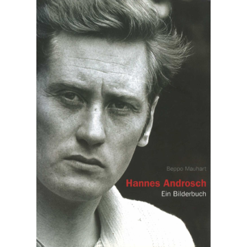 Hannes Androsch (2008)