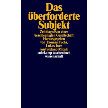 Das überforderte Subjekt