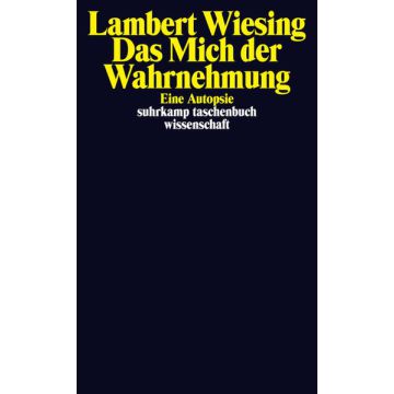 Das Mich der Wahrnehmung