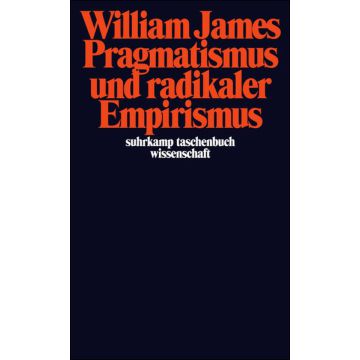 Pragmatismus und radikaler Empirismus
