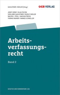 Arbeitsverfassungsrecht Bd 2