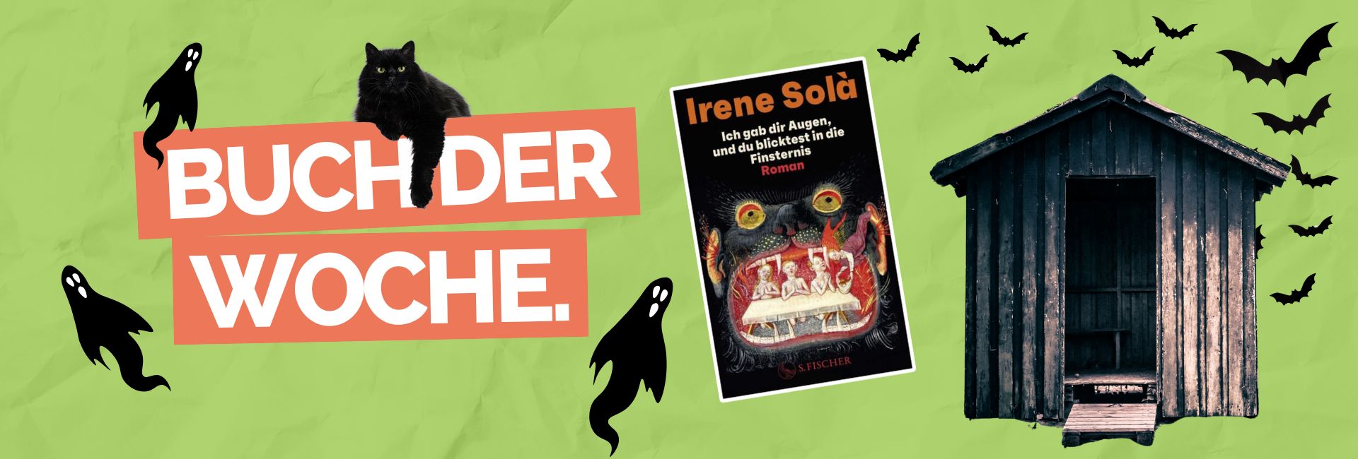 Buch der Woche: Ich gab dir Augen, und du blicktest in die Finsternis von Irene Solà